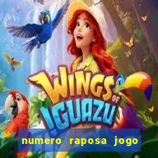 numero raposa jogo do bicho